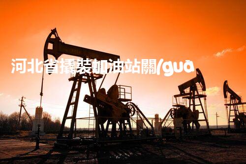河北省撬裝加油站關(guān)鍵技術(shù)突破！化工廠拆除工程的新方法探索？